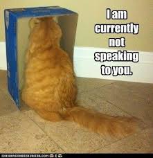 Lalalalalala Not Listening Funny Cat Memes Funny Animals Animal Captions