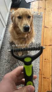 What is the best brush for boxers? #haireverywhere 😍😂🐶