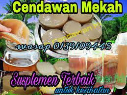 Will it ever be clean again? Benih Cendawan Mekah Mud Mud Videos Facebook