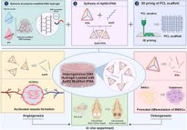 Image result for Modified Apt Test