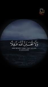 Islam Subhi Surah Abraham Very Hopeful Video In 2021 Quran Recitation Best Islamic Quotes Quran Quotes