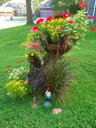 Pin By Silesia On Great Gardens For Fairies Fairy Garden Garden Plants