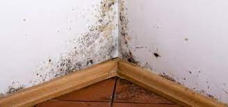 Schimmel im schlafzimmer sieht nicht nur unschön aus, er stellt auch ein erhöhtes gesundheitsrisiko dar. Schimmel Im Schlafzimmer Verbraucherzentrale Niedersachsen