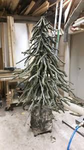 Deb Hendrickson (debihendrickson)