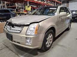 Image result for Gold Mist 2007 SRX