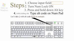 Your privacy will be quite secure! How To Write Symbols By Using Keyboard Alt Codes