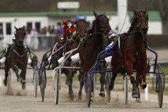 stratégies avancées de paris sur les courses de chevaux
