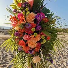 In fact, this small central american country welcomed over 3 million tourists in 2018 alone! Dream Flower Nosara Posts Facebook