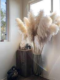 5 Stems Pampas Grass 34 Dried Flowers Etsy Trending Decor Pampas Grass Decor Grass Decor