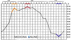 Efficace per imparare a conoscerci meglio. Come Cambia La Temperatura Corporea Durante La Giornata Medicina Online