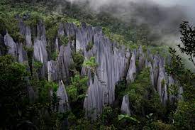 Taman negara mulu mempunyai 3 gunung, iaitu gunung mulu (2,376 m), gunung api (1,750 m) dan gunung benarat (1,585 m) serta 300 km gua yang telah diterokai, salah. Mount Api Wikipedia