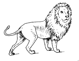 Lowe Ausmalbild Ausmalbilder Fur Kinder Malvorlagen Tiere Ausmalen Ausmalbilder