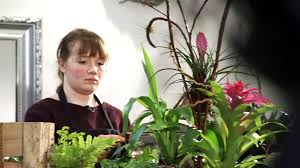 Sie wird jeweils sonntags um 8:30 uhr im mdr fernsehen ausgestrahlt und am folgenden samstag um 12:15 uhr. Das Beste Vom Mdr Garten Florist 2019 Wettbewerb Mdr De