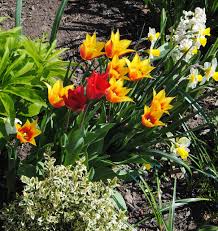 April | 2013 | sorta like suburbia