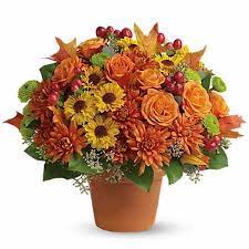 We have a great selection of floral arrangements for all holidays including christmas, valentine's day, easter, mother's day, thanksgiving, as well as everyday occasions. Flowers For Thanksgiving Thanksgiving Flower Delivery