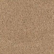 We make everstrand using mohawk continuum™, the ultimate innovation in pet carpet. 85 Mohawk Smartstrand Silk Carpet Ideas Silk Carpet Carpet Mohawk