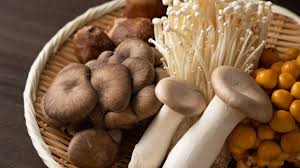 Mushrooms: A Staple of the Japanese Table | Nippon.com