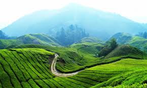 To the west, it shares part of its border with. 5 Tempat Terbaik Untuk Hirup Udara Segar Di Tanah Tinggi Libur