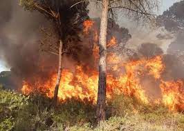 Es importante conocer a que tipo de incendio podemos enfrentarnos para de ese modo. Zqcwwv4qio4vbm