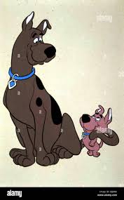 نتیجه جستجوی لغت [scrappy] در گوگل