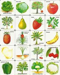 Family Crafts And Recipes Free Printable Games Vegetable Crafts Vegetables Fruit Party