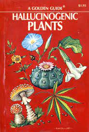 Melts In Your Mind Hallucinogenic Plants 1976 Books Art Psychedelic