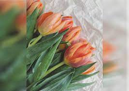 Fresh flower delivery direct from the farm to your door within 48 hours. Best Wholesale Flower Delivery In Singapore Lifestyle News Asiaone