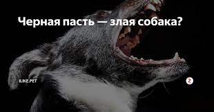 Маскировка