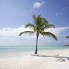 Estas playas situadas en el sur de la república dominicana son totalmente diferentes a las que el turismo en general conocen de es. Https Encrypted Tbn0 Gstatic Com Images Q Tbn And9gcrcts28qd97hdk0tjdqwyazflmqqyccs1ihjmkdr1mo Xnxox6j Usqp Cau