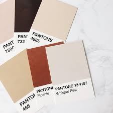 Pantone Colors Pantone Colour Palettes Pantone Color Color Palette