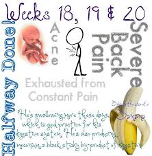 Pin On Pregnancy