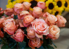 Jersey city has experienced remarkable renewal in the past twenty years, replacing old railway yards with parks and commercial development. Son Of Narcissus Florals Owner Did Business His Way