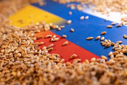 Rusia y Ucrania: El trigo y la paz | Opinión | EL PAÍS
