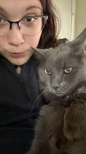 Hi everyone, looking for some assistance with a bird I found in my  backyard. I have no knowledge or experience when it comes to caring for  birds. I don't believe he broke