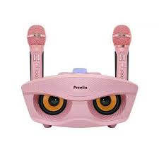 Bluetooth speaker, hifi speaker, portable bluetooth speaker, wireless bluetooth speaker, bluetooth speaker with microphone. China High Quality Loud Speaker 20watts Trumpet Double Microphone New Design Karaoke Bluetooth Speaker China Microphone Speaker And Bluetooth Microphone Price