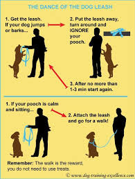 Leash Training Your Dog Dance Of The Dog Leash Dog Walking Tips Dog Training Tips Dog Training Obedience Dog Training