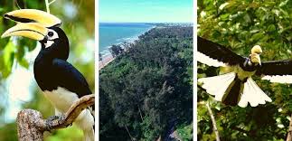 Pantai di sarawak termasuk pasir panjang dan pantai damai di kuching, tanjung batu di bintulu, dan tanjung lobang dan pantai hawaii di miri. 32 Tempat Menarik Di Miri 2021 Sarawak Panduan Bercuti