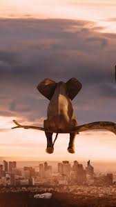 Lonely Animal Iphone Wallpaper Iphone Wallpaper Congratulations Photos Animal Wallpaper