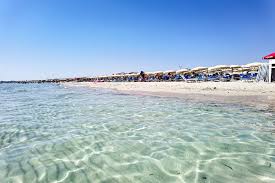 Image result for ugento