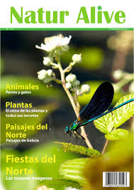 Planta liliácea, de flores grandes y hermosas : Nature Alive By Sergio Lizi Issuu