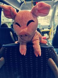 Jeden tag neue fortnite und gta 5 videos und livestreams ! Natascha Bestmann On Twitter Schinken Beim Busfahren Larsoderso Isychessy Meinetochter Fan Isycheesy Love Schinken Busfahrenistlustig Minecraft Xbox Alleskase Https T Co Zw4abfivwy