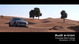 Image result for Siam Beige 2017 A1