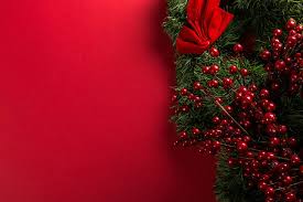 Royalty Free Photo Red And Green Mistletoe Decoration Pickpik Check out these photos of beautiful christmas trees.