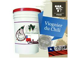 User interface and logo design / intech. Chile Fresco Mosti Mondiale