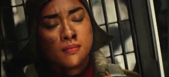 Star Wars Sequel Trilogy Fans