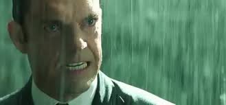 images?q=tbn:ANd9GcT-6LCJbKS_xdPFHiIx9pP