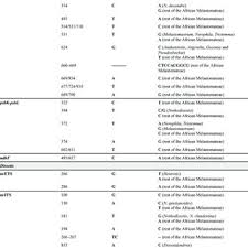 Image result for Antherotoma naudinii