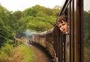 Ford Train of Life on Vimeo