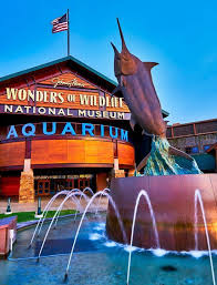Tickets Wildlife Ozarks Segway Tours