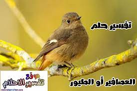 أما عن رؤية حمار بلون أسود قاتم فهو، يشير إلى الخير القادم، وهذا عكس ما عدد أما عن صوت الحمار في المنام، يرمز إلى السعي الدؤوب الذي يقوم به الإنسان للوصول إلى مبتغاه. ØªÙØ³ÙŠØ± Ø±Ø¤ÙŠØ© Ø§Ù„Ø¹ØµØ§ÙÙŠØ± Ø£Ùˆ Ø§Ù„Ø·ÙŠÙˆØ± ÙÙŠ Ø§Ù„Ø­Ù„Ù…